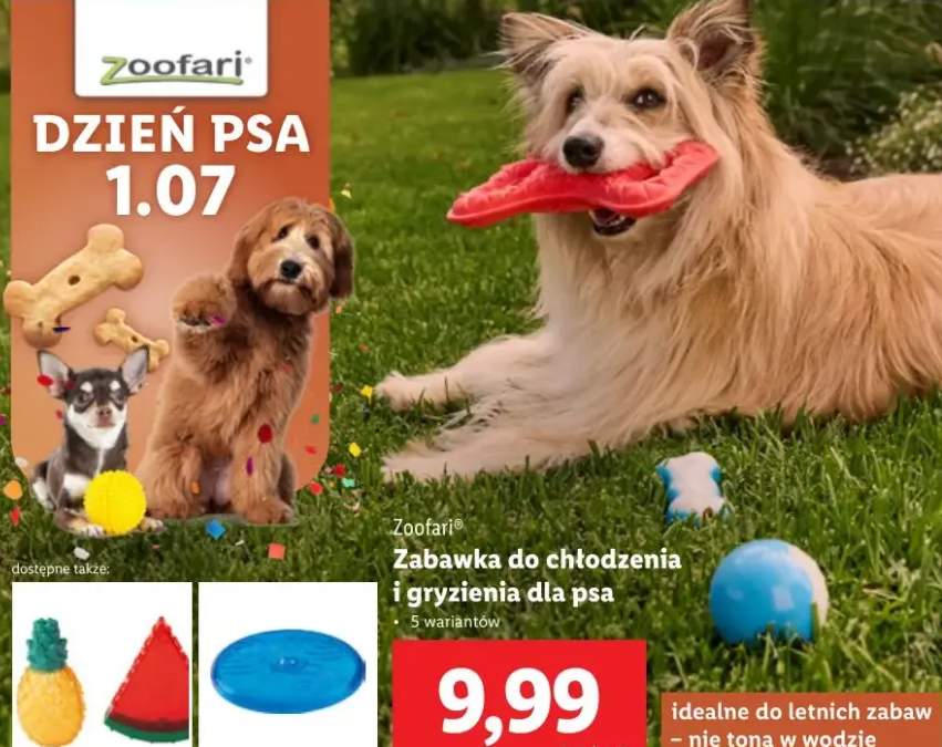 zabawka dla psa
