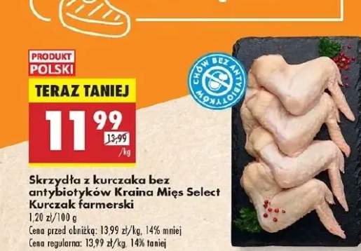 kurczak skrzydła