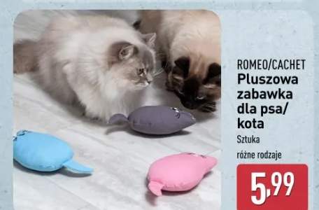 zabawka pluszowa