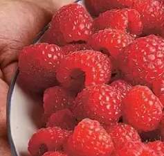 maliny