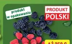 jeżyny