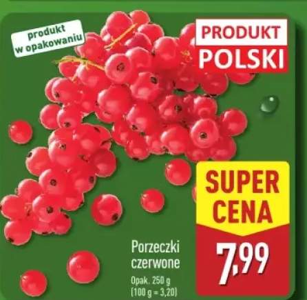 porzeczka czerwona