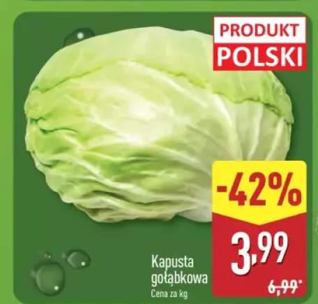 kapusta