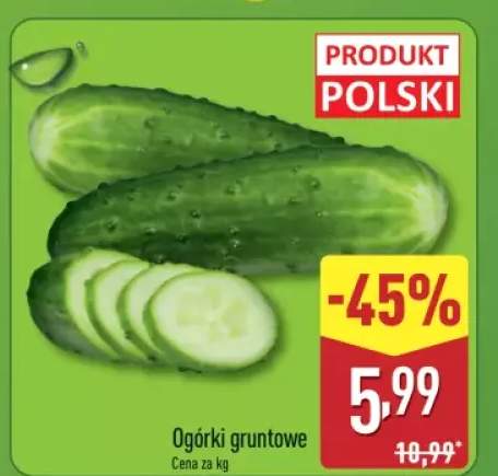 ogórek gruntowy
