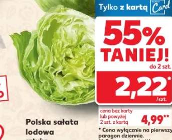 sałata lodowa