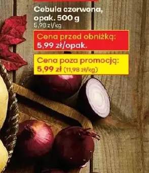 cebula czerwona