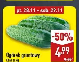 ogórek gruntowy