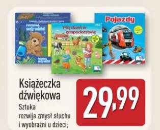 książka dla dzieci