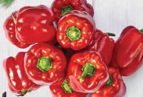 papryka czerwona