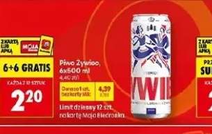 piwo Żywiec