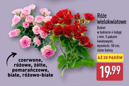 Róże wielokwiatowe Bukiet w bukiecie 4 rodzaj z mix 5 pakami kwiatowymi