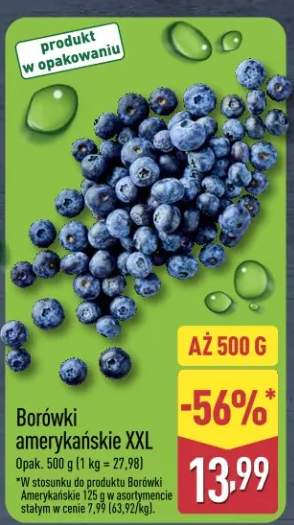 Borówki amerykańskie XXL