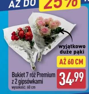 Bukiet 7 róż Premium z 2 gipsówkami