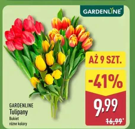 Tulipany bukiet różne kolory