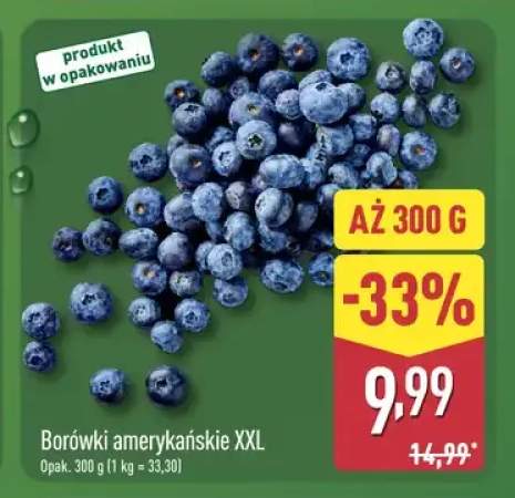 Borówki amerykańskie XXL