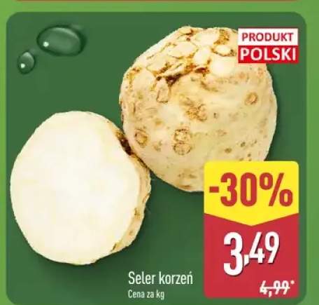 Seler korzeń