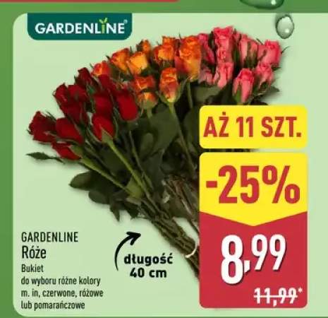 Róże bukiet do wyboru różne kolory m.in. czerwone, różowe lub pomarańczowe