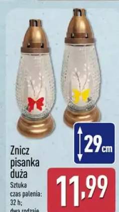 Znicz pisanka duża