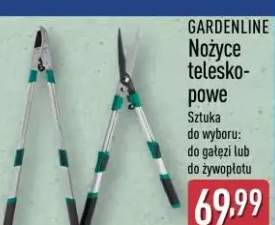 Nożyce teleskopowe sztuka