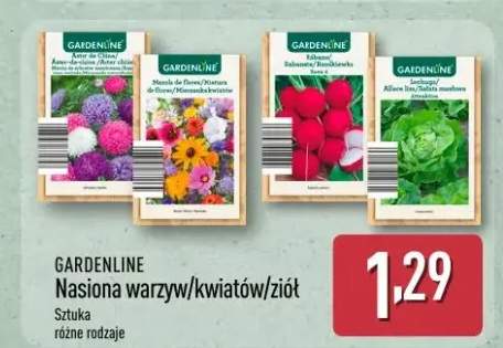 Nasiona warzyw/kwiatów/ziół