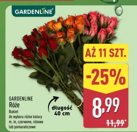 Róże bukiet do wyboru różne kolory białe, czerwone, różowe lub pomarańczowe