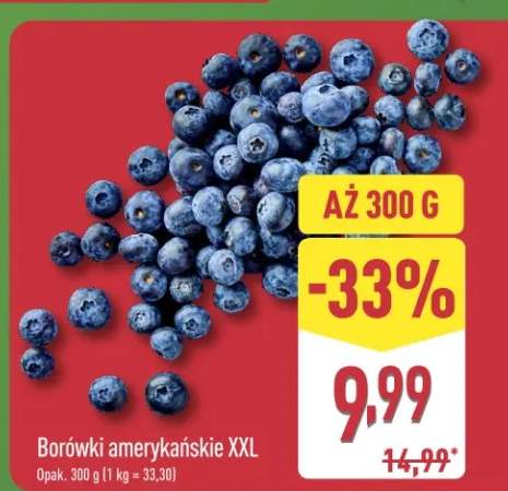 Borówki amerykańskie XXL