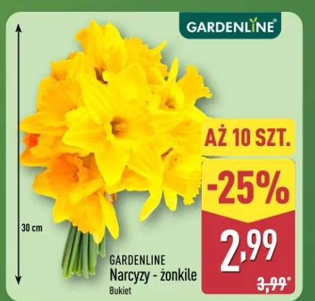 Narcyz - żonkile bukiet