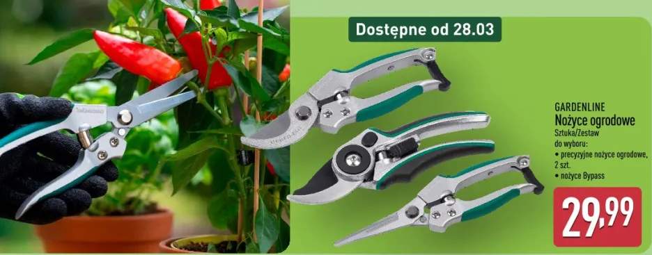 Nożyce ogrodowe