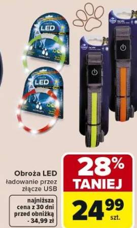 obroża dla psa
