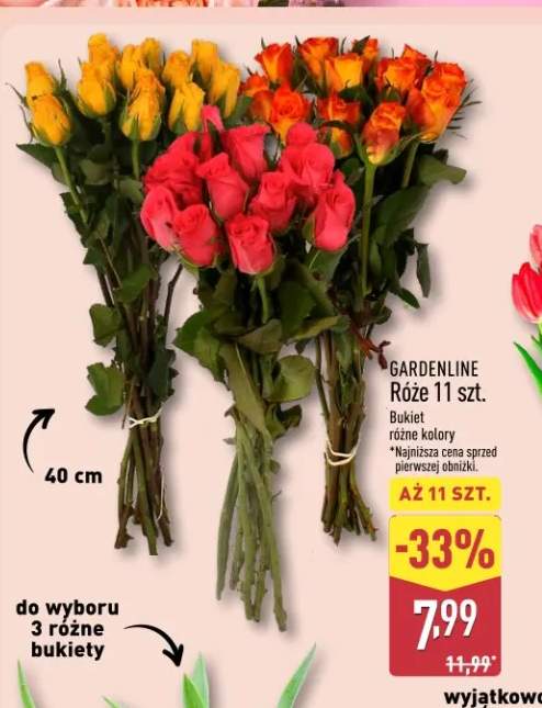 Róże 11 szt. Bukiet różne kolory