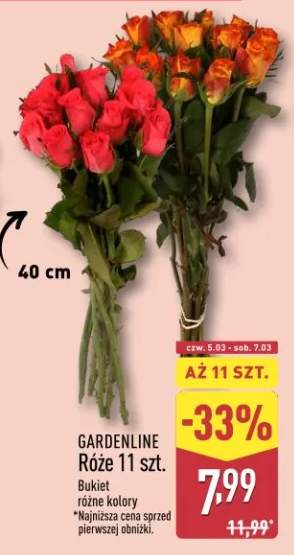 Róże 11 szt. Bukiet różne kolory