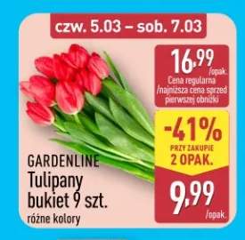 Tulipany bukiet 9 szt. różne kolory