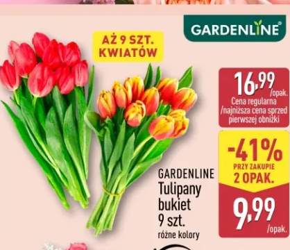 Tulipany bukiet 9 szt. różne kolory