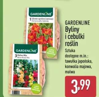 Byliny i cebulki roślin