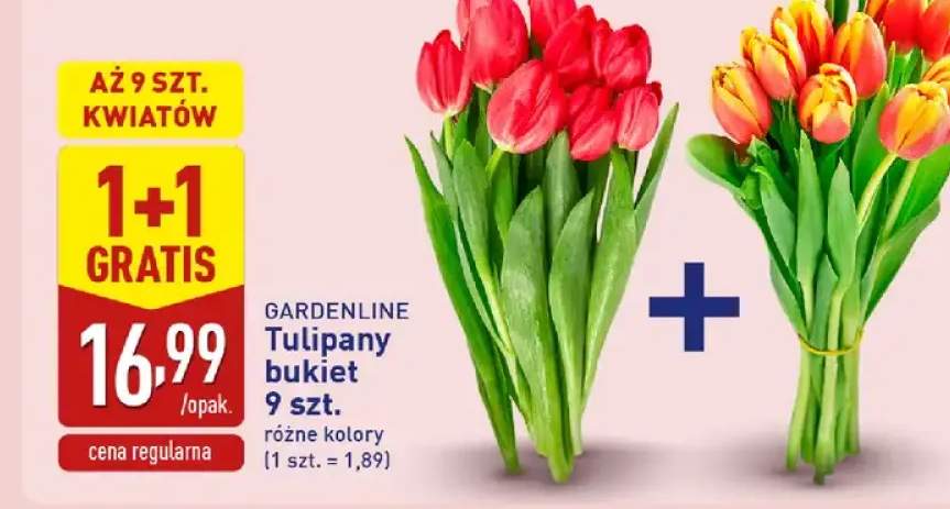 tulipany bukiet