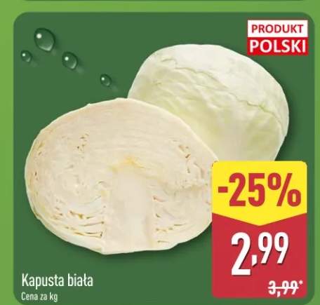 Kapusta biała