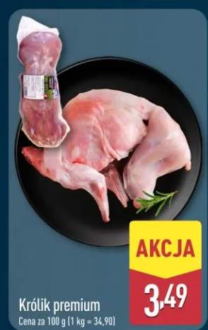 Królik premium