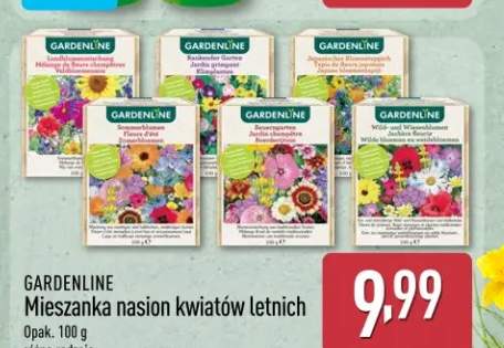 Mieszanka nasion kwiatów letnich