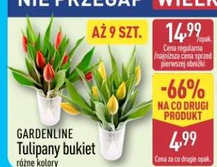 Tulipany bukiet różne kolory