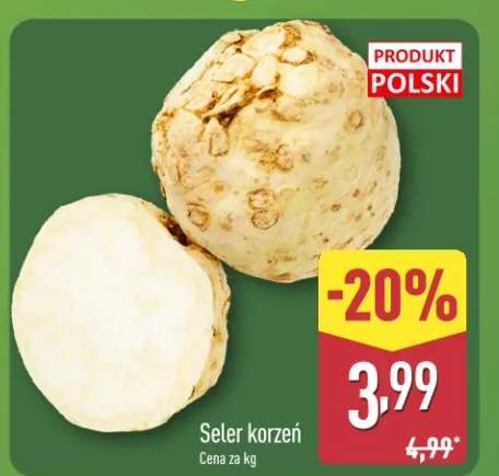 Seler korzeń