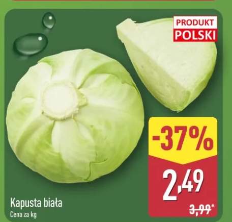 Kapusta biała
