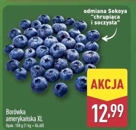 Borówka amerykańska XL