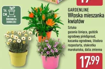 Włoska mieszanka kwiatów