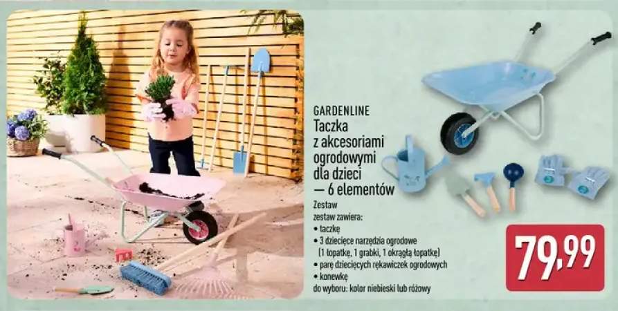 Taczka z akcesoriami ogrodowymi dla dzieci 6 elementów