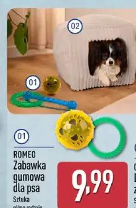 Zabawka gumowa dla psa