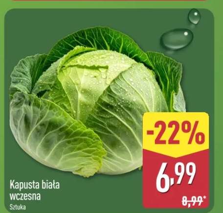 Kapusta biała wczesna