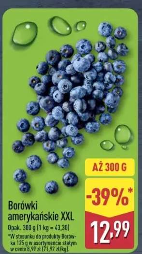 Borówki amerykańskie XXL