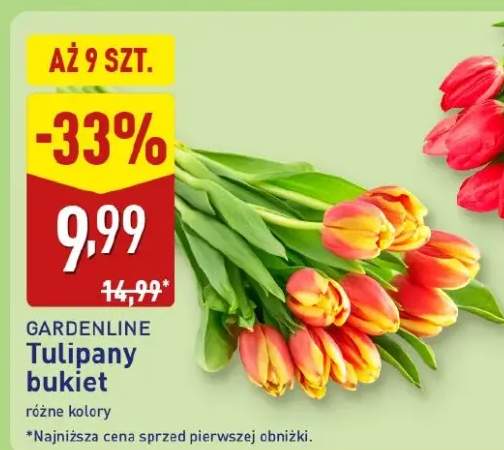 Tulipany bukiet różne kolory