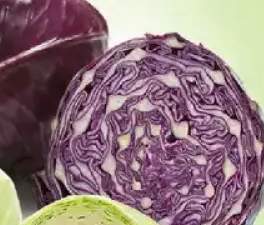 kapusta czerwona