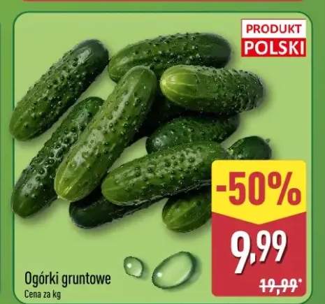 Ogórki gruntowe